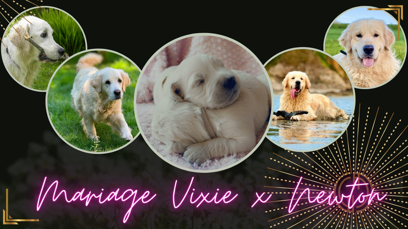 Banniere mariage et be be vixie newton