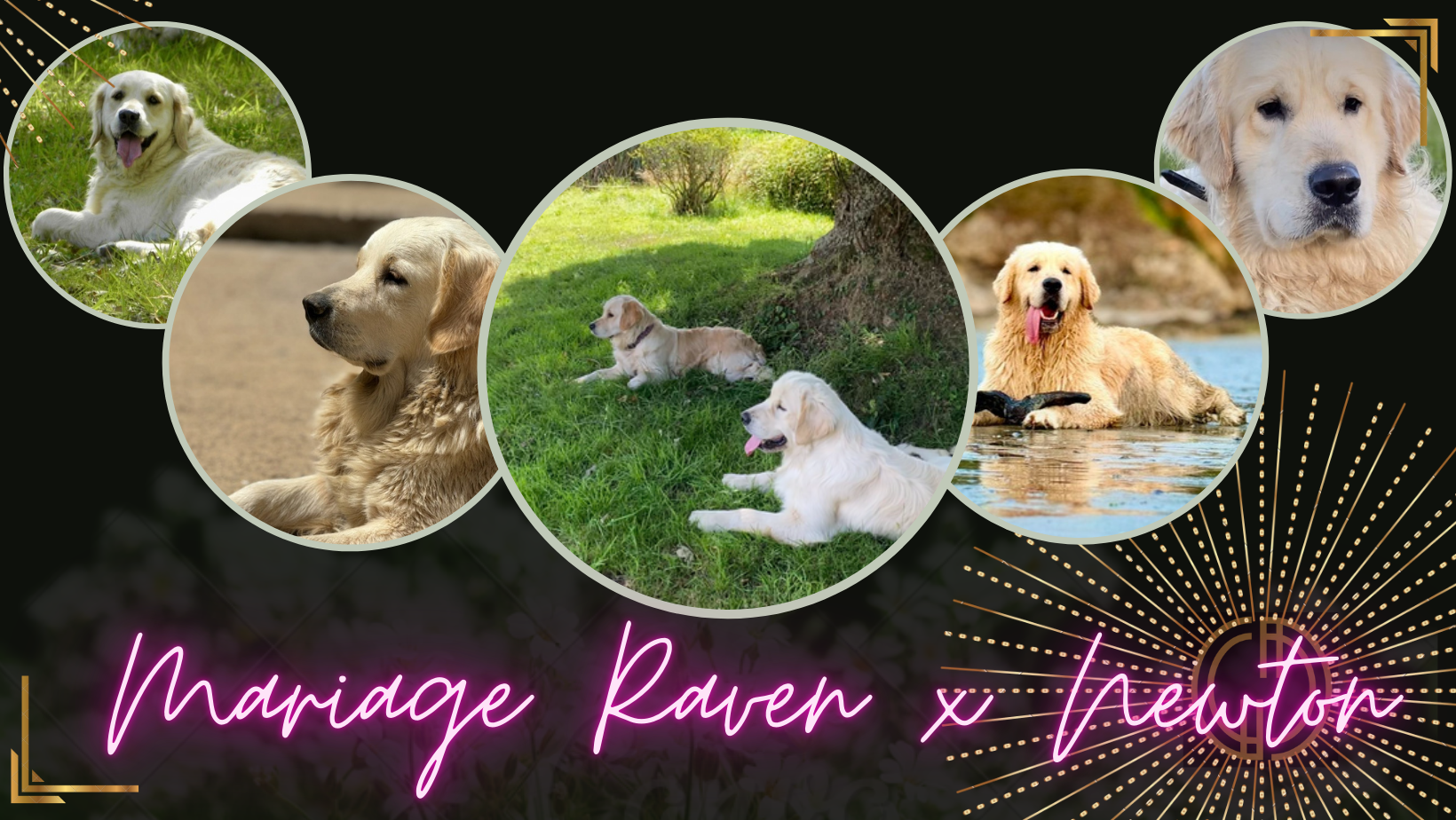 Banniere mariage raven newton