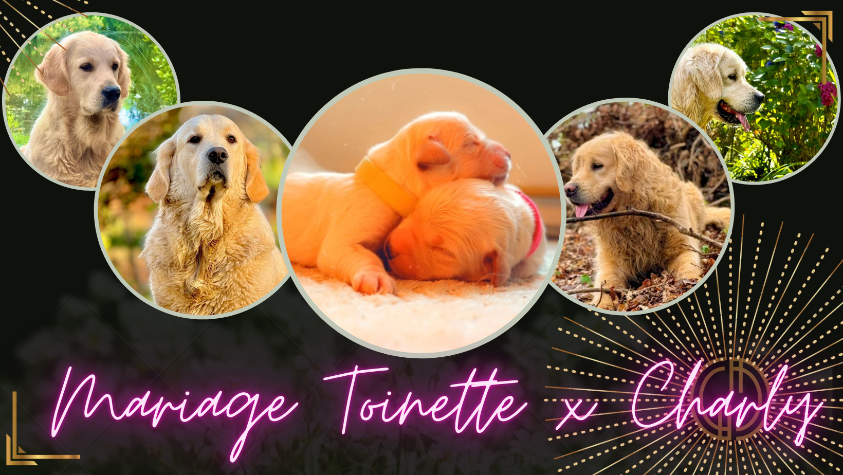 Banniere toinette charly be be
