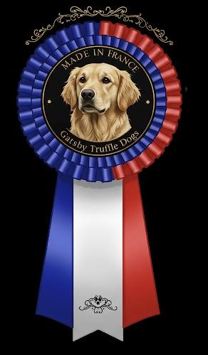 Cocarde truffle dog gatsby