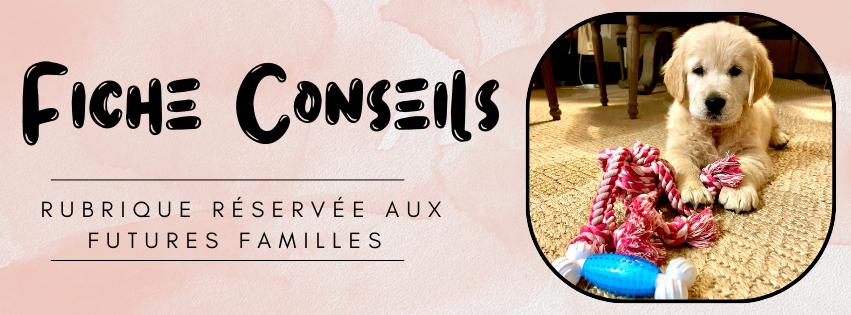 Fiche conseils