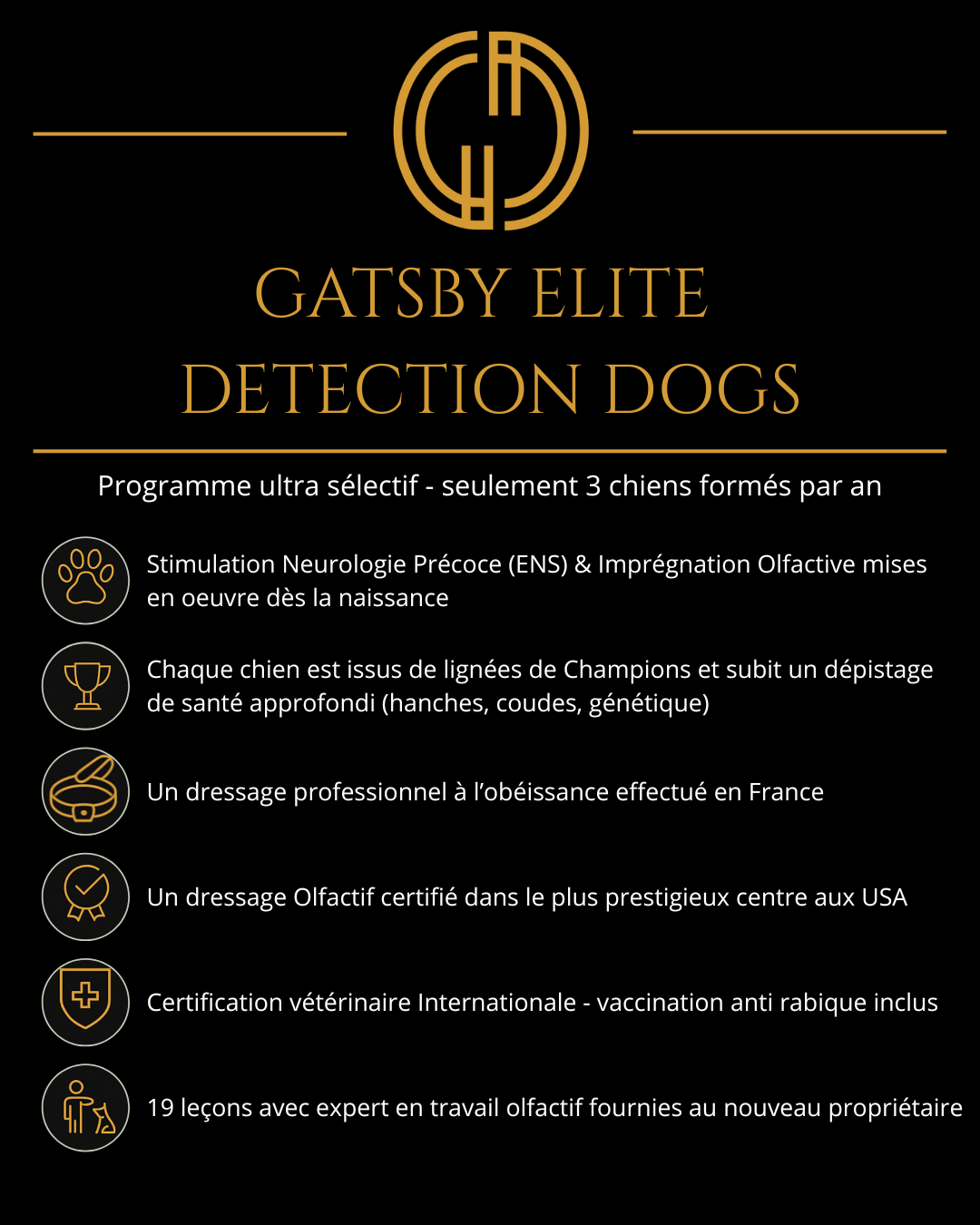 Gatsby elite detection dogs