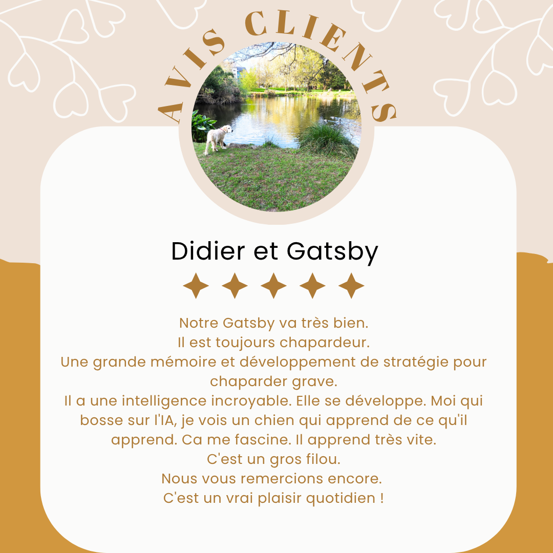 Avis 1