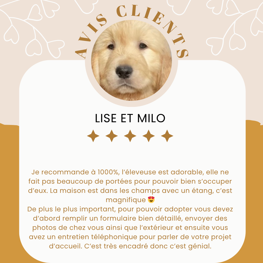 Avis 7