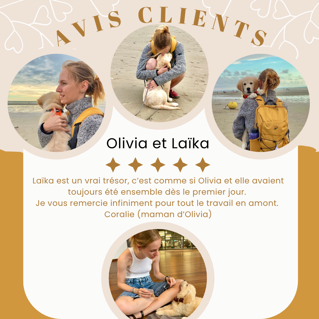 Avis client handi gatsby jeune fille autiste