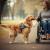 Comment un chiot devient chien d'assistance