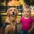 Golden retriever d'assistance