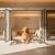 Comment choisir sa pension canine