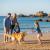 Les plages autorisées pour les chiens en Bretagne - 2025